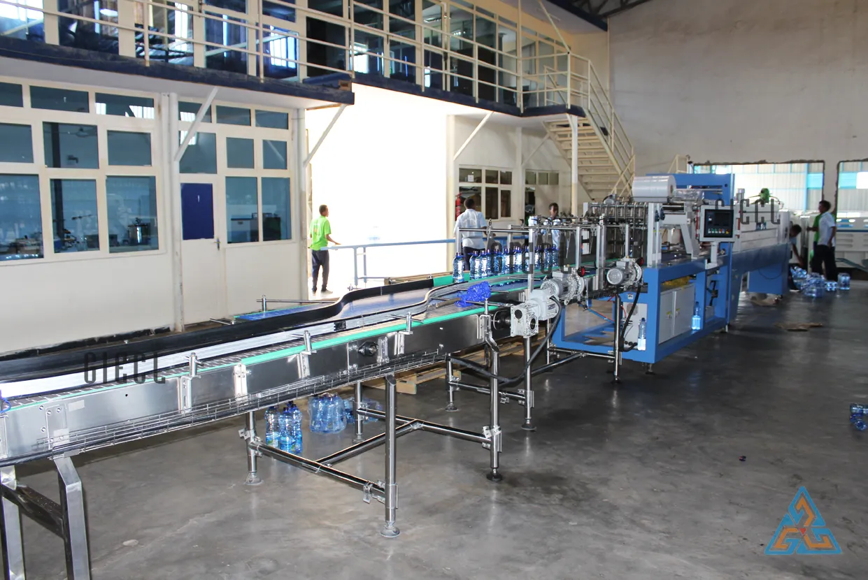 Fully Automatic Pet Blow Moulding Machine