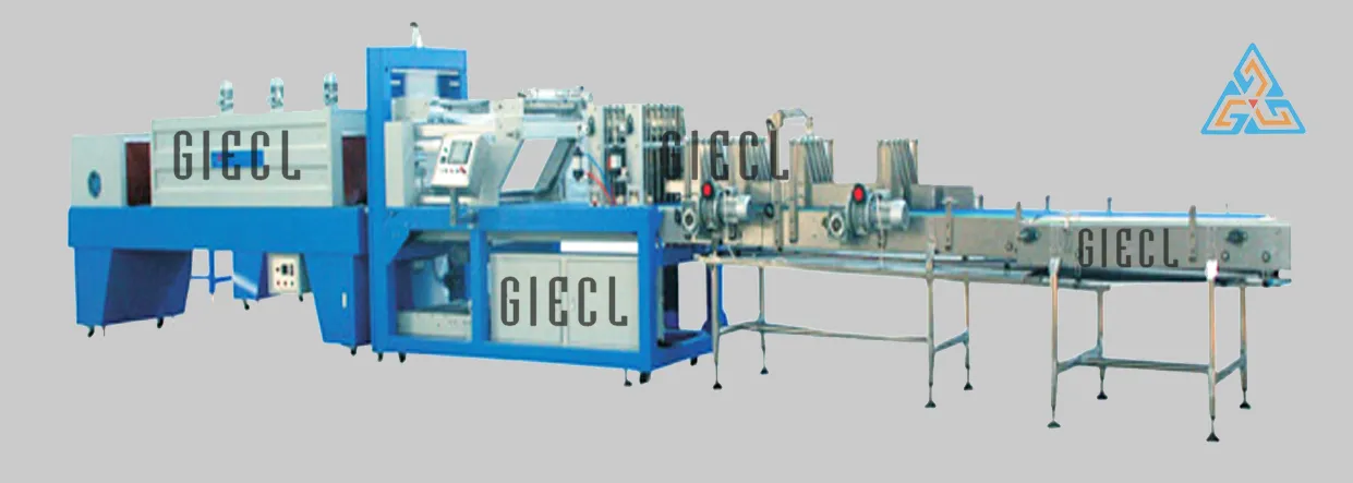 Fully Automatic Pet Blow Moulding Machine